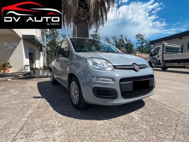 Fiat Panda 1.0 FireFly S&S Hybrid Easy UNICO PROPRIETARIO/TAGLIANDI CASA MADRE