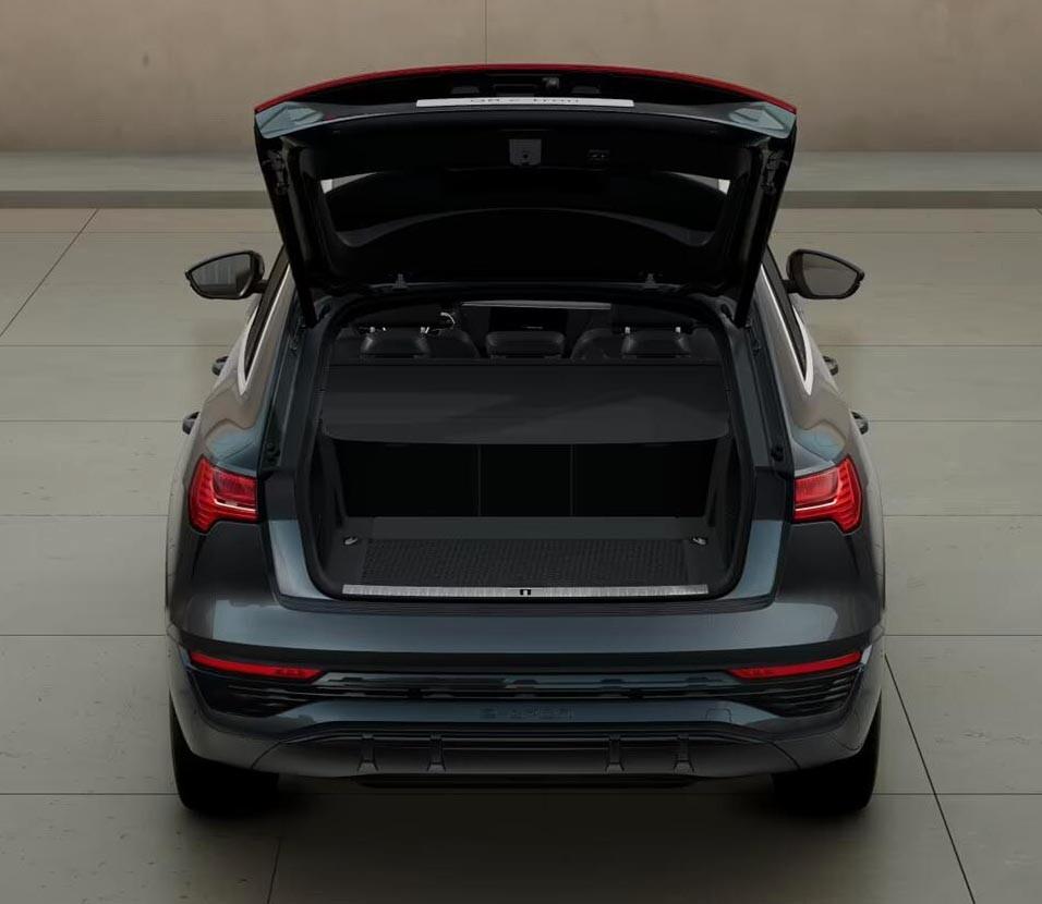 Audi Q8 SUV 55 TFSI quattro tiptronic S line edition