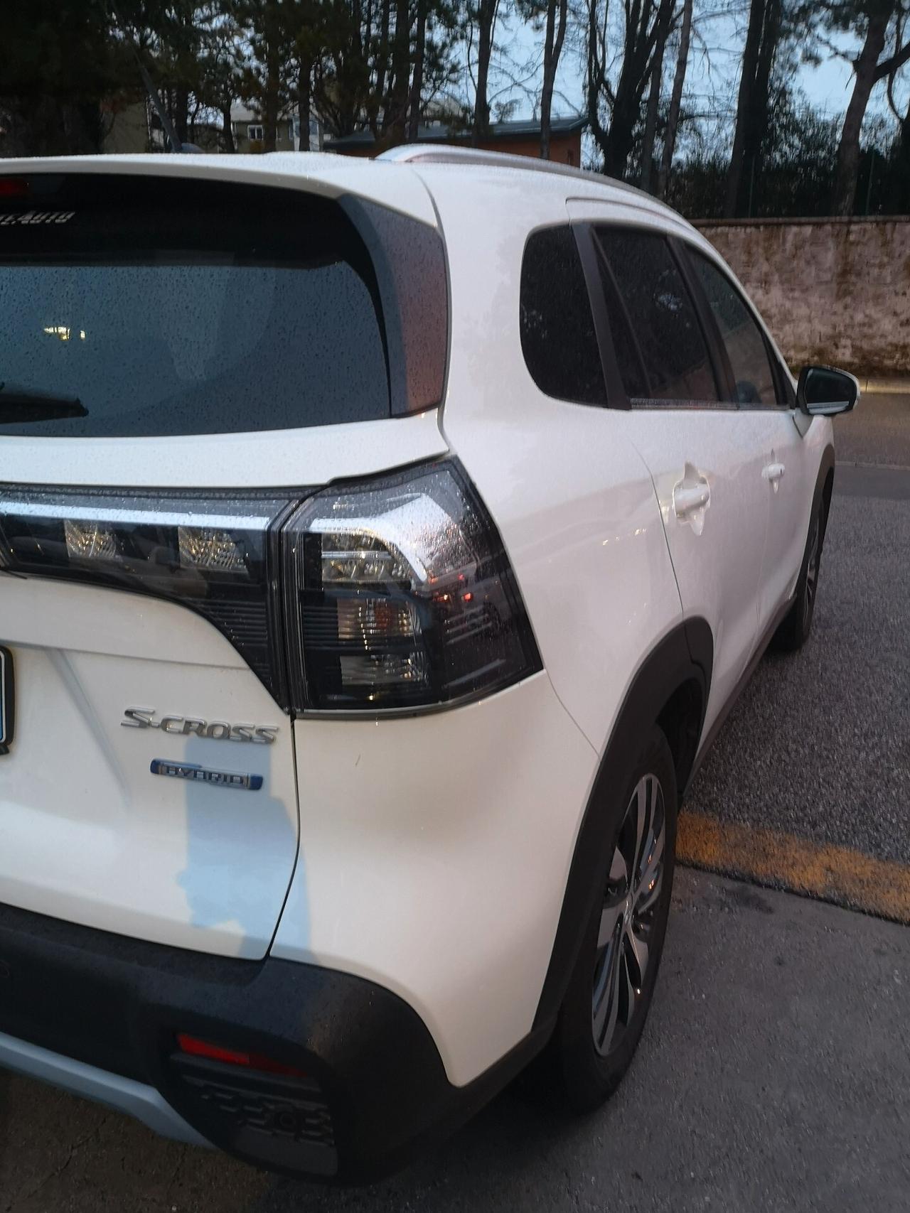 Suzuki S-Cross 1.4 Hybrid 4WD 129cv - 2022