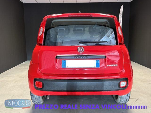 FIAT Panda Hybrid 1.0 FireFly 70 cv Neopatentati - PROMO