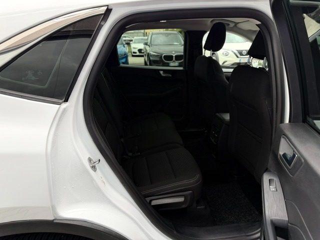 FORD Kuga 2.0 EcoBlue Hybrid 150 CV 2WD Titanium Business