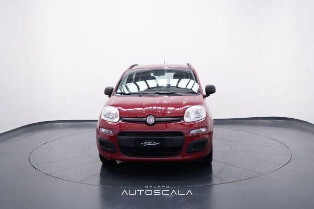 FIAT Panda 1.2 69cv Easy