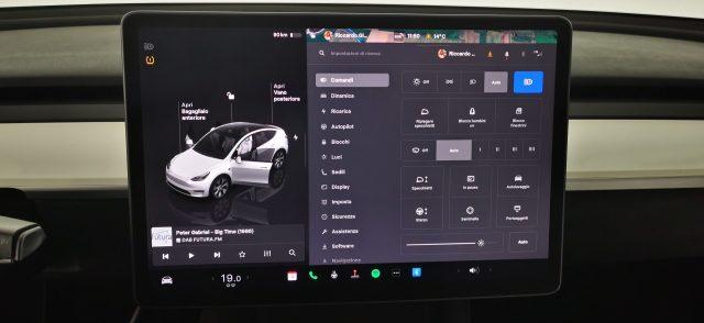 TESLA Model Y RWD