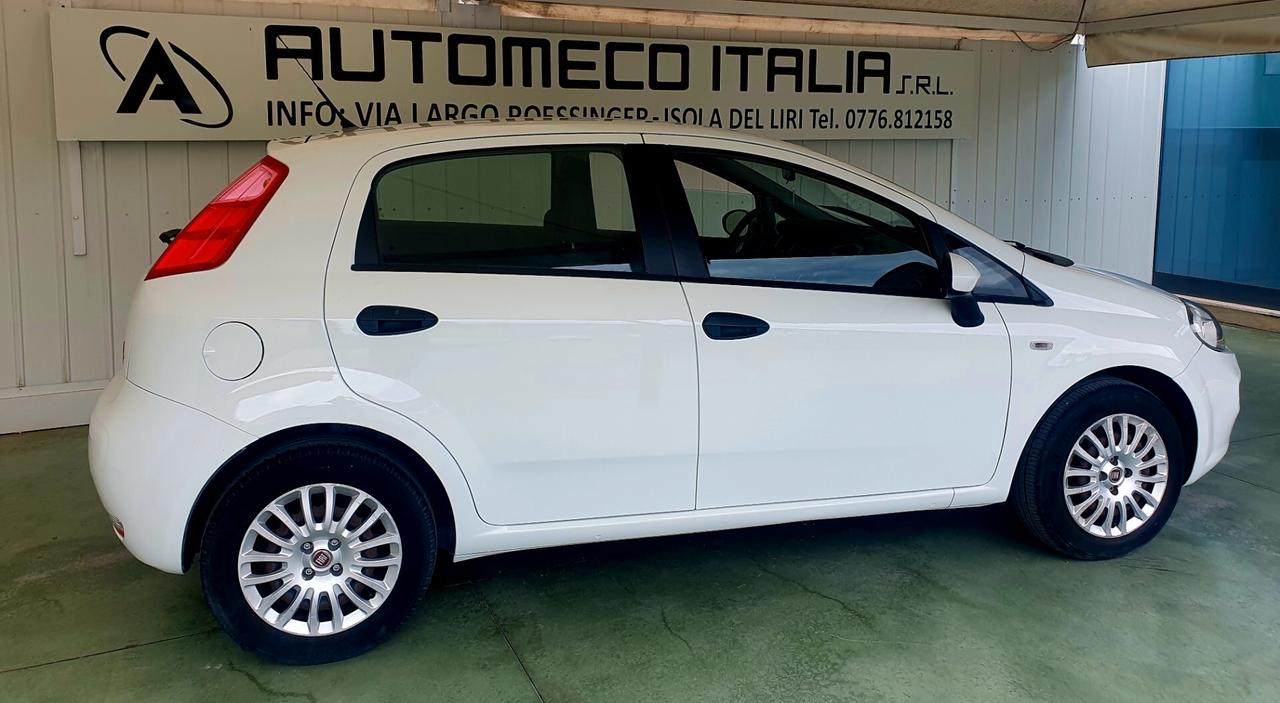 Fiat Punto 1.2 BENZ. - 2015 - KM. 131.000 NEOPATENTATI