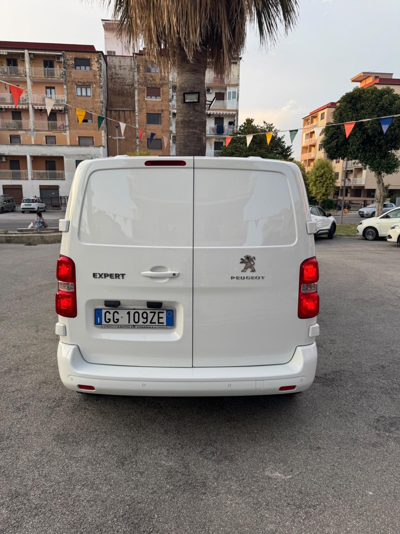 Peugeot Expert BlueHDi 150 S&S PL-TN Furgone Premium Standard