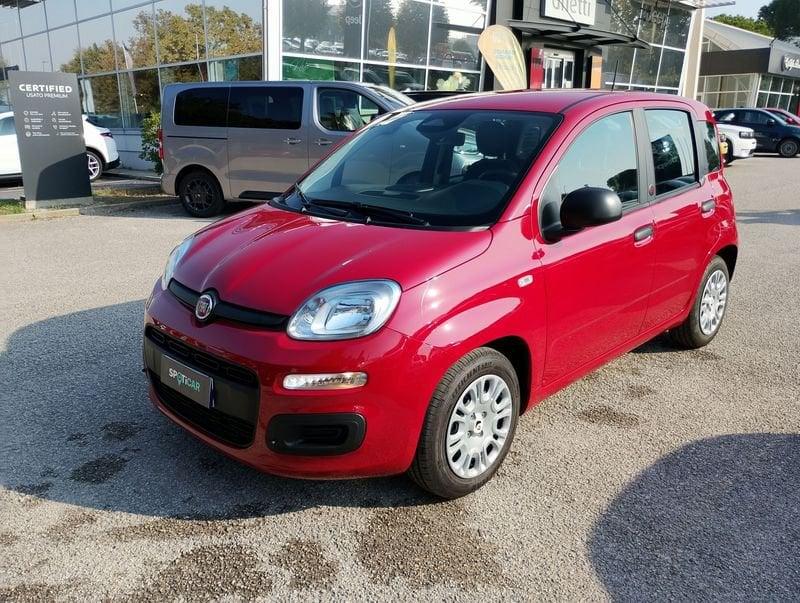 FIAT Pandina Pandina 1.0 firefly hybrid Icon s&s 65cv