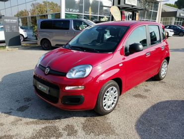 FIAT Pandina Pandina 1.0 firefly hybrid Icon s&s 65cv