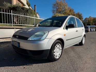 Ford Fiesta 1.2 16V 5p. Zetec Euro 4