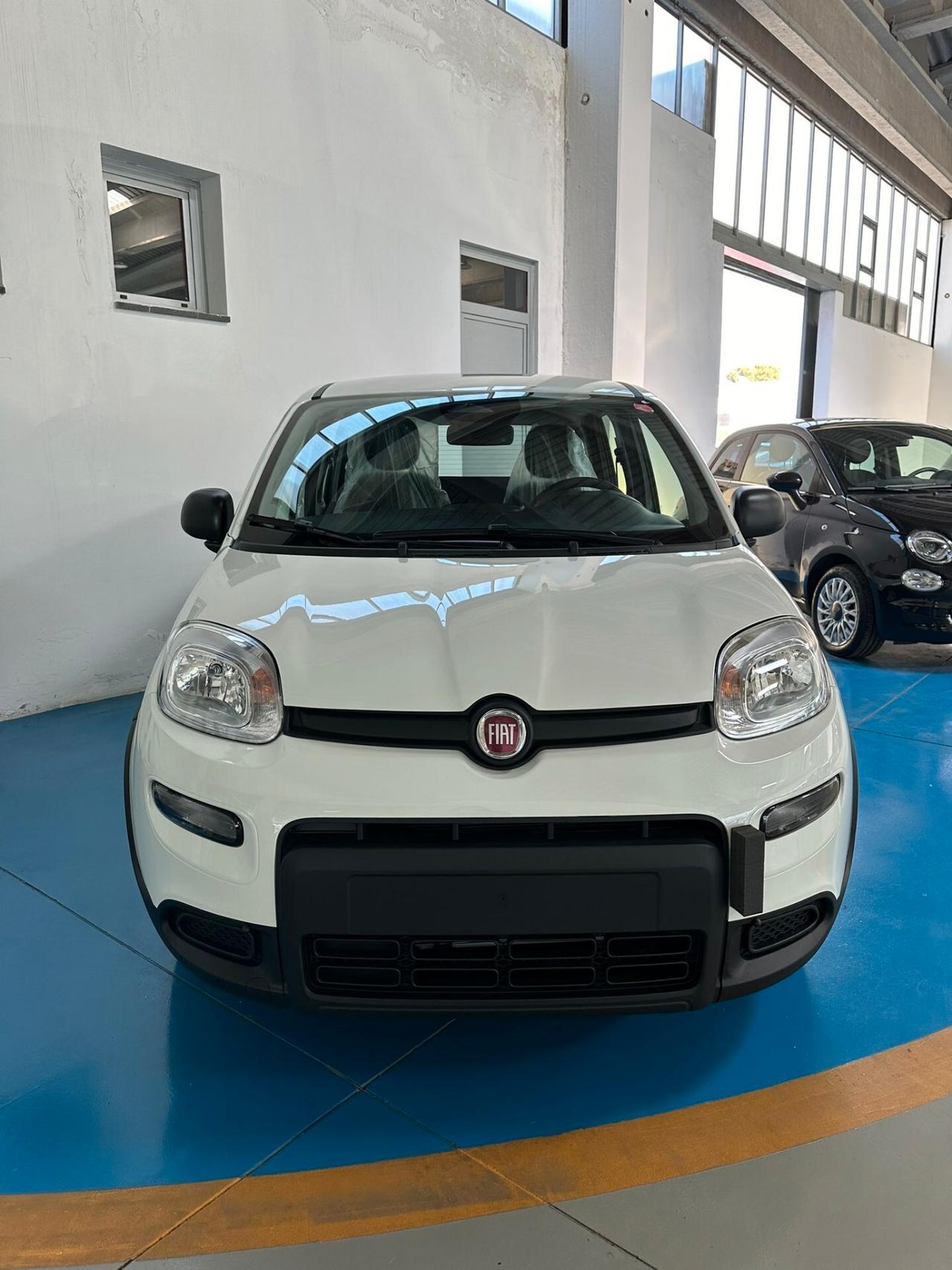 FIAT PANDA 1.0 Hybrid KM 0 2024 Nuova PANDINA