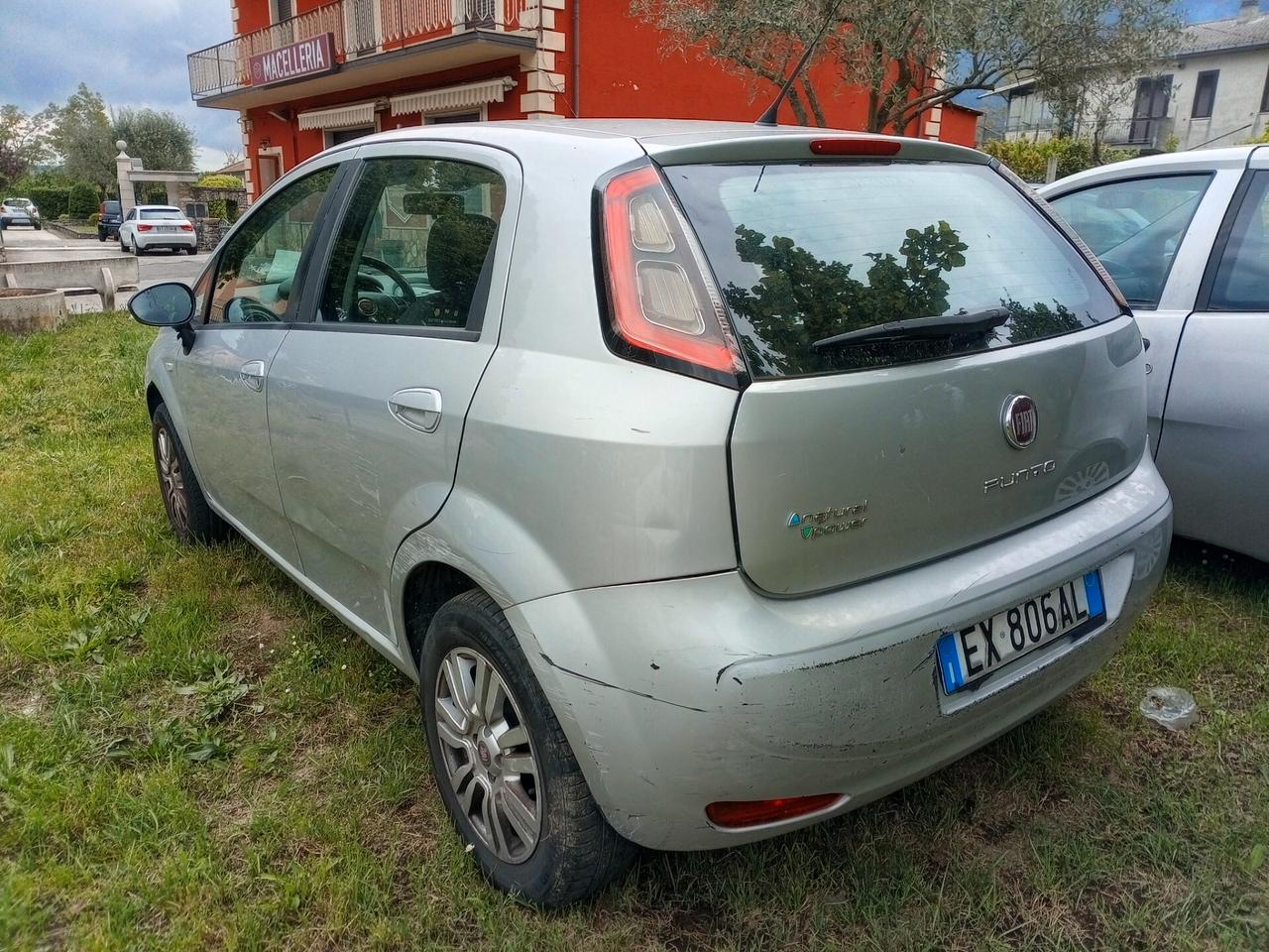 Fiat Punto 1.4 8V 5 porte Natural Power Lounge