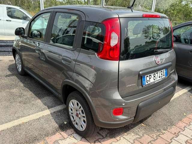 Fiat Panda Panda 1.0 firefly hybrid DISPONIBILI VARI COLORI