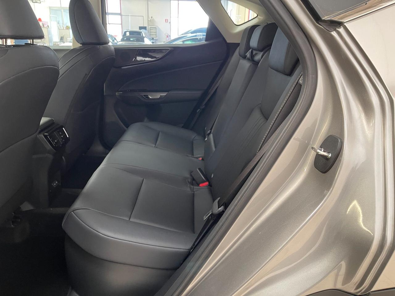 Lexus NX 300h Lexus NX 350h Premium+ 2.5 4wd e-cvt-Dettagli in Bio