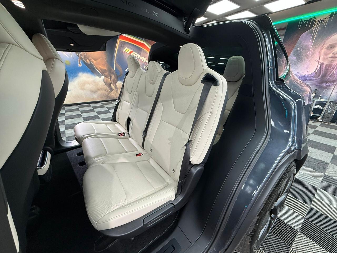 Tesla Model X LONG RANGE (734)