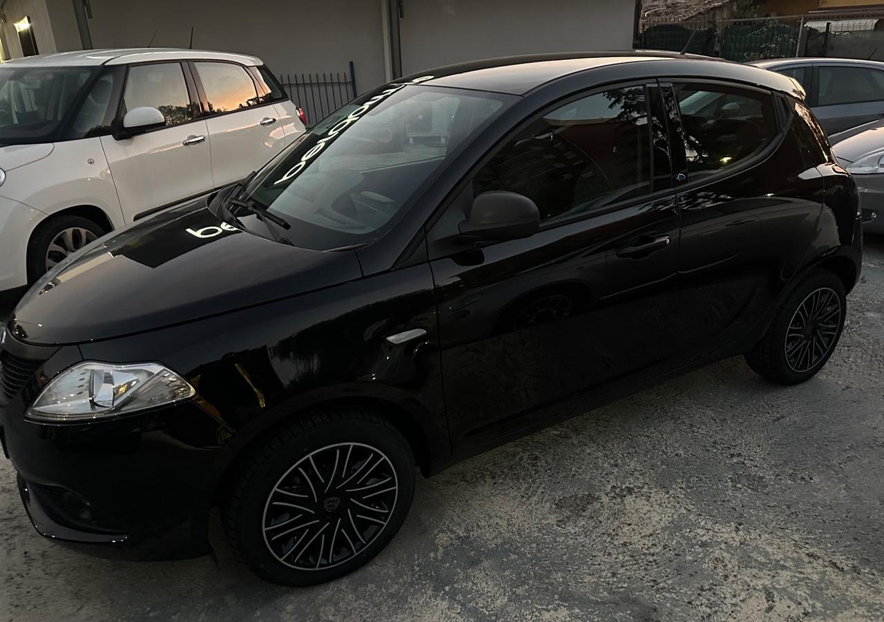 Lancia Ypsilon 1.2 69 CV 5 porte GPL Ecochic Platinum km 89.000