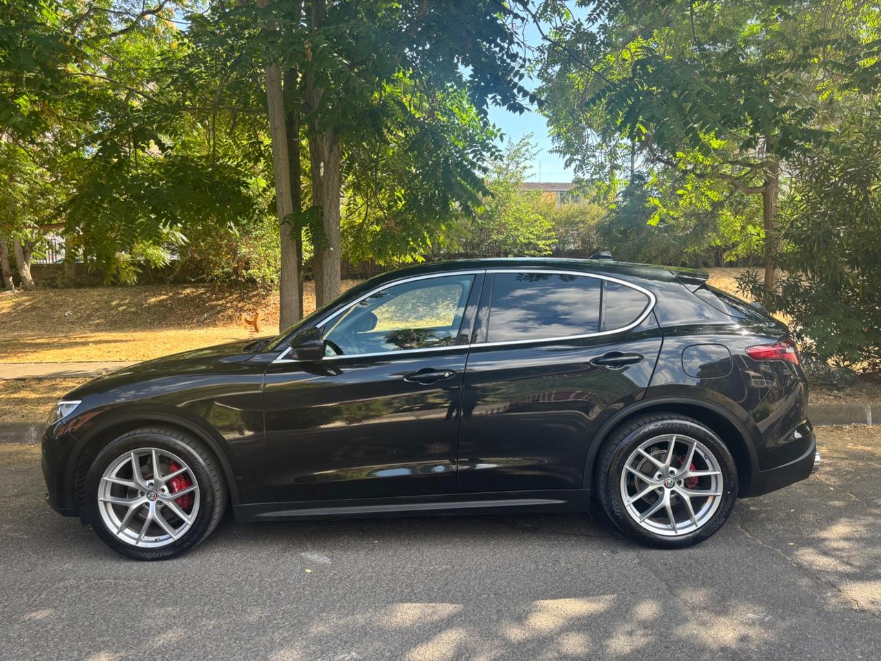 Alfa Romeo Stelvio 2.2 190 CV Executive 12/2019