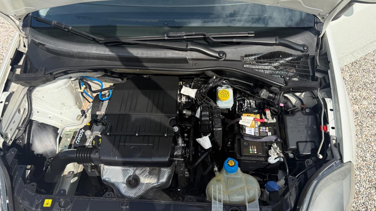 Fiat Punto 1.2 8V 5 porte Gpl e Benzina