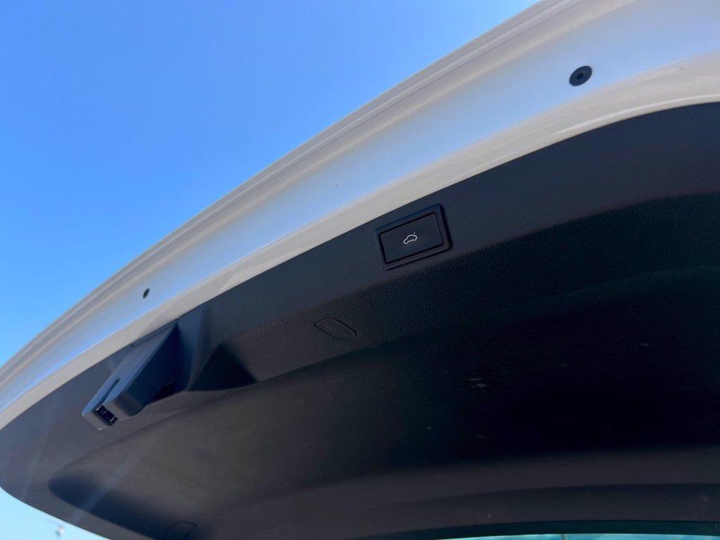 SKODA Karoq 2.0 tdi Sportline 4x4 dsg del 2019