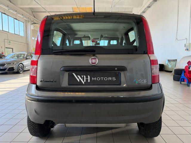 FIAT Panda 1.4 Active Natural Power //BELL1SS1MA//
