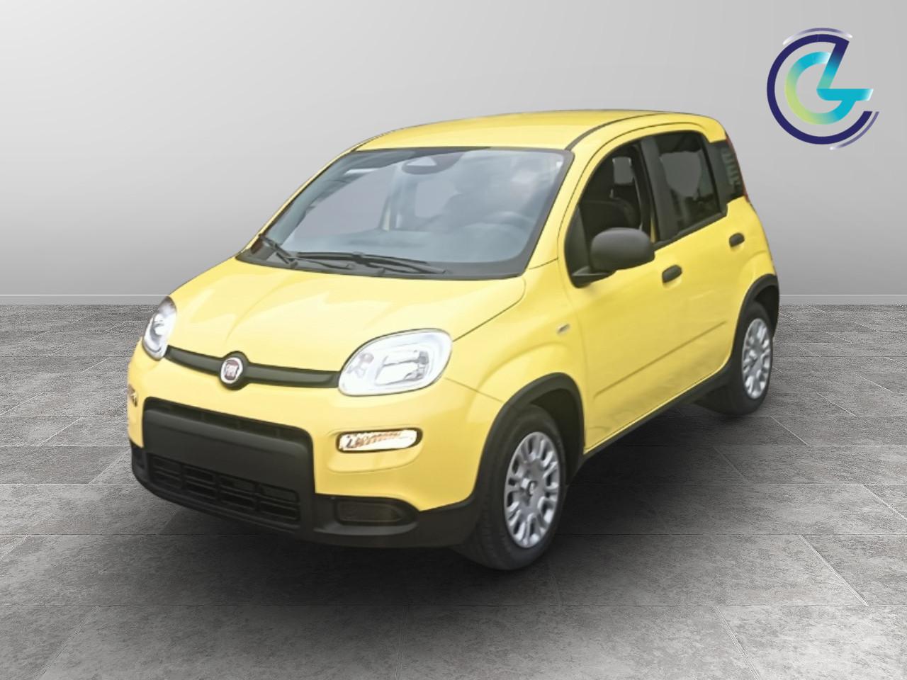 FIAT Panda III 2024 - Panda 1.0 firefly hybrid s&s 70cv