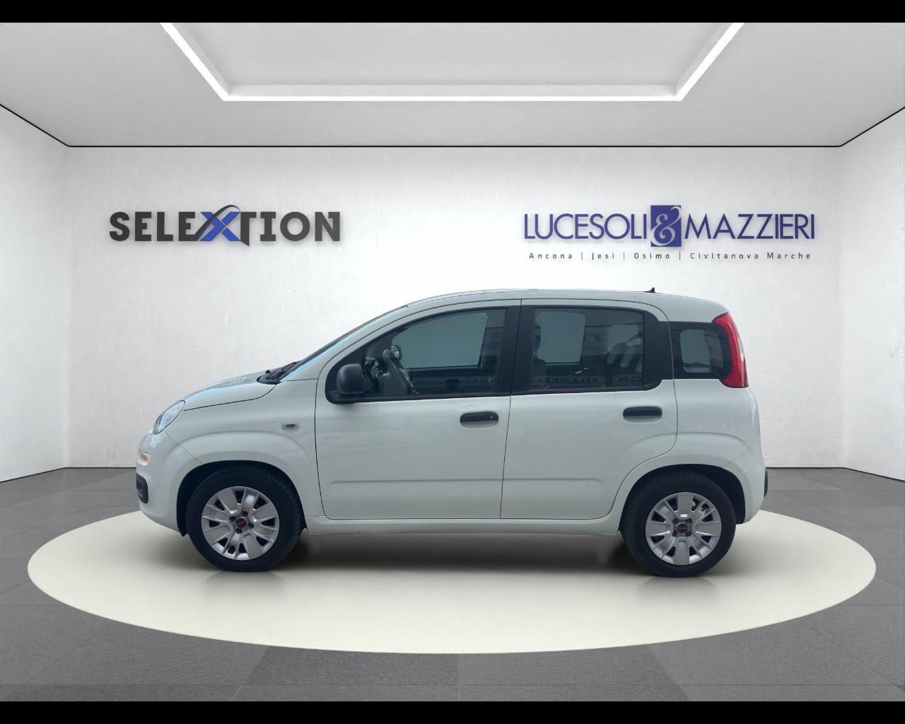 FIAT Panda 3ª serie - Panda 1.0 FireFly S&S Hybrid
