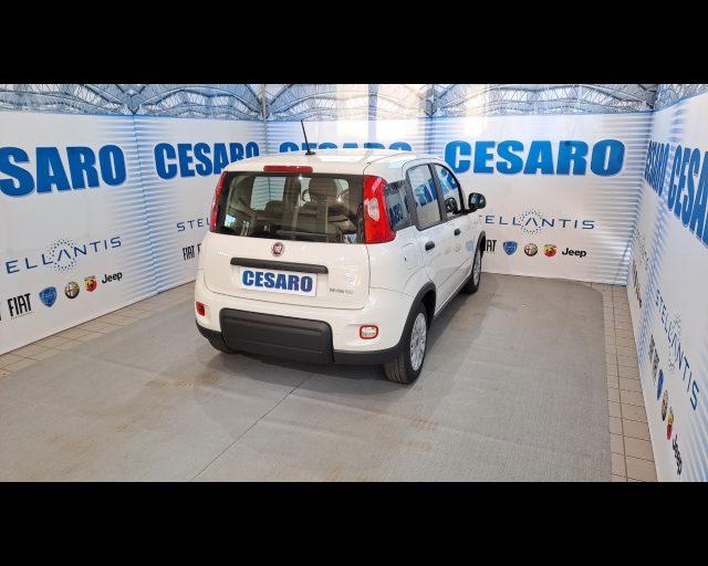 FIAT New Panda 1.0 firefly hybrid s&s 70cv 5p.ti