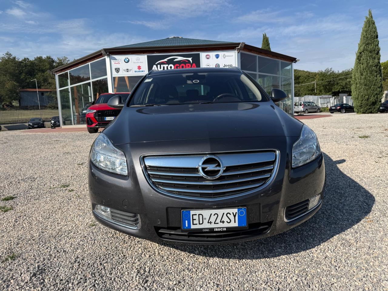 Opel Insignia 2.0 Diesel 160CV || PERFETTA ||