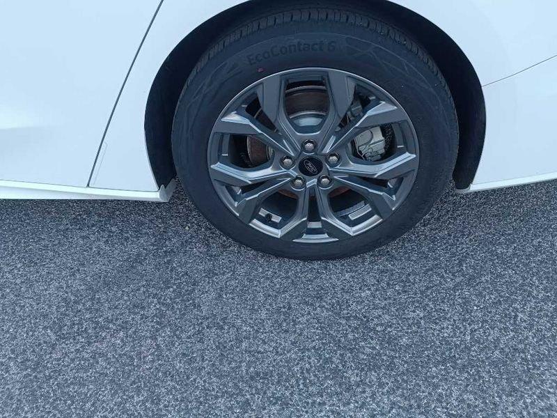 Ford Focus 4ª s. 18--> 1.0 EcoBoost Hybrid 125 CV SW ST-Line