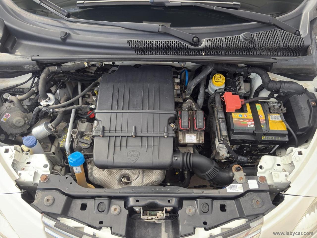 LANCIA Ypsilon 1.2 69 CV 5p. GPL Ecochic Ele. ELEFANTINO ROSA