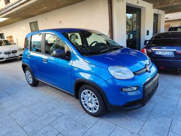 FIAT Panda 1.0 FireFly S&S Hybrid (PANDINA)_Km0