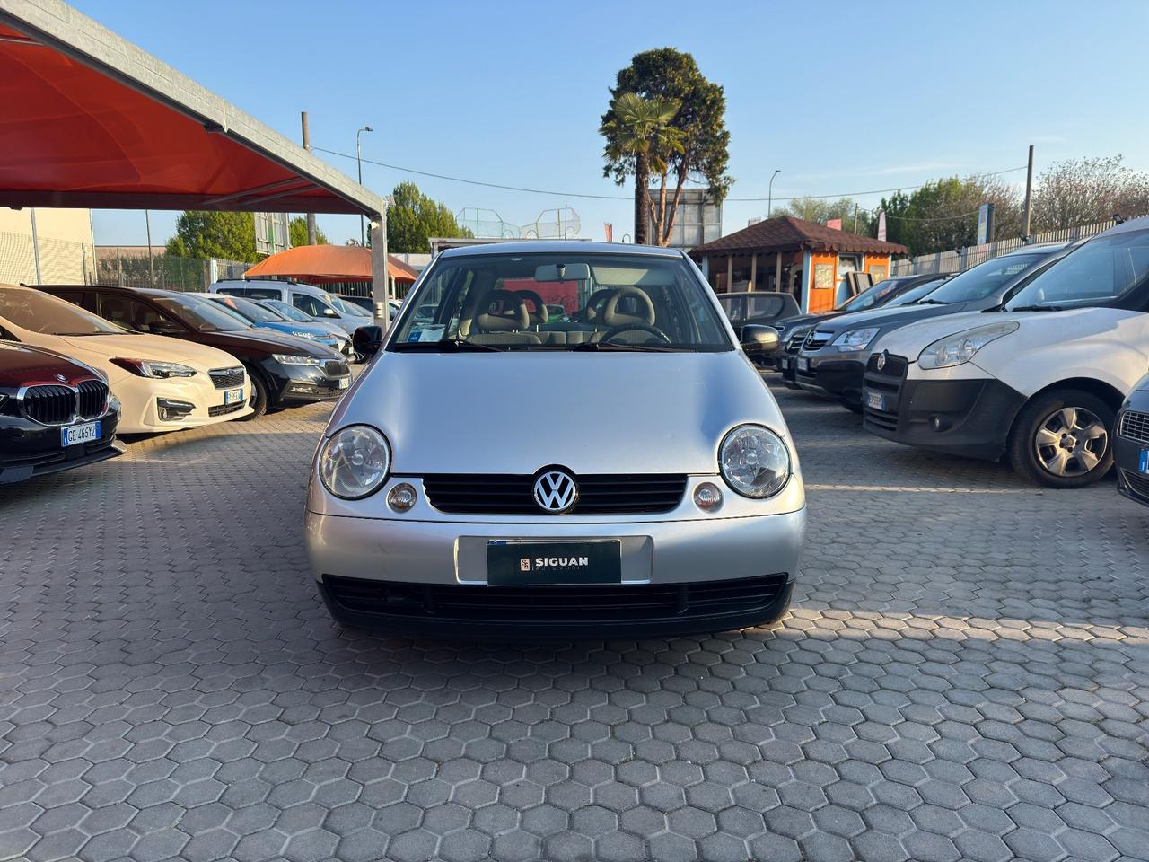 Volkswagen Lupo ADATTA A NEOPATENTATI 1.4 16V cat Highline