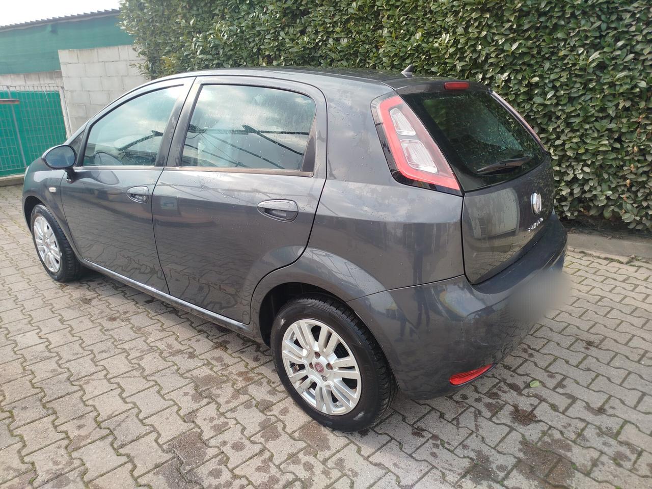 Fiat Punto Evo 1.2 5 porte 50th anniversario