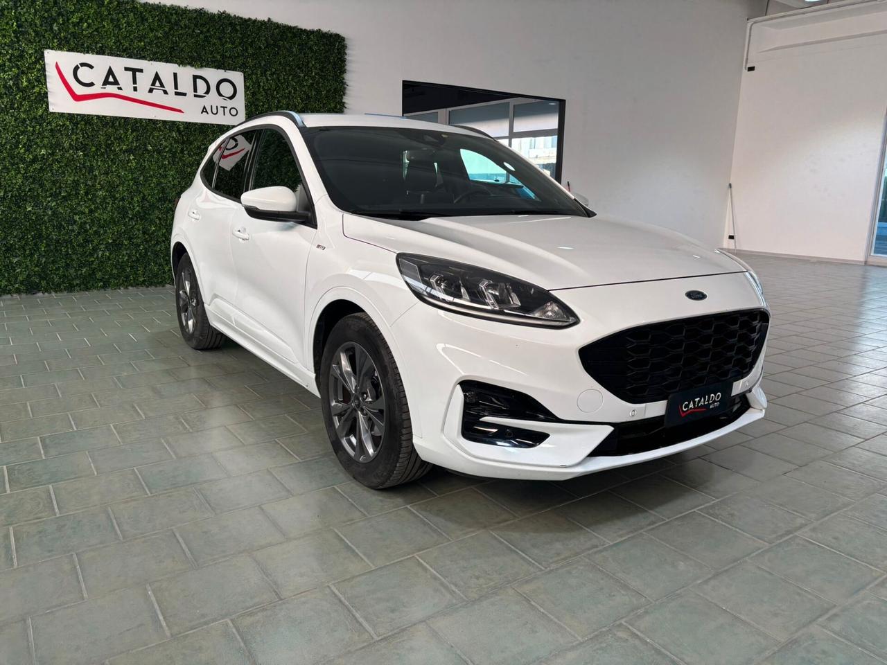 Ford Kuga 1.5 EcoBlue 120 CV 2WD ST-Line
