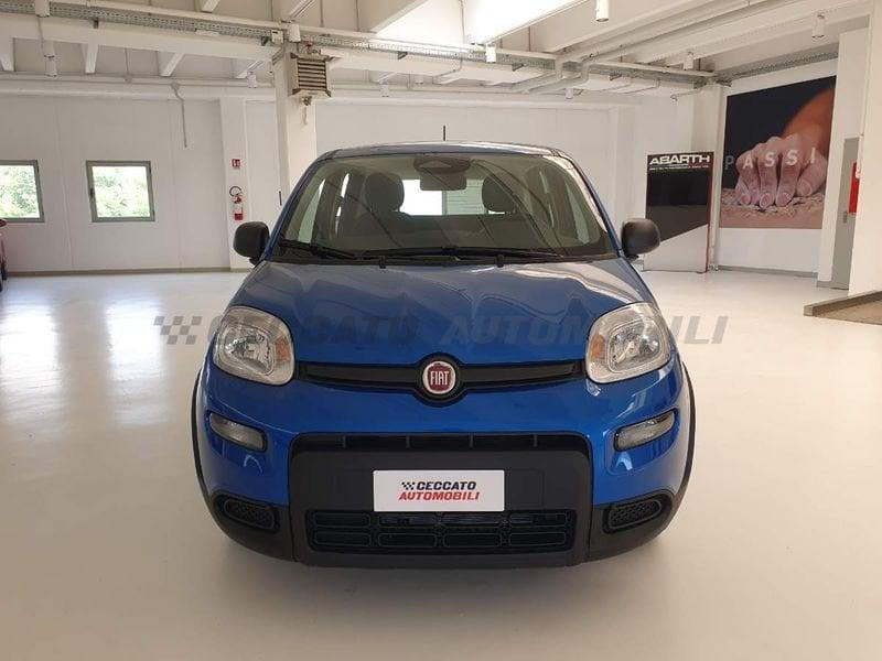 FIAT Panda Panda 1.0 70cv Hybrid Panda