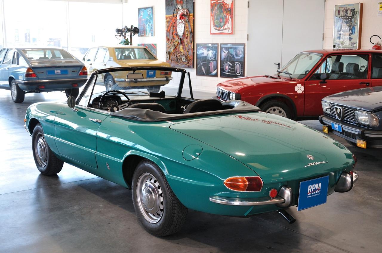 Alfa Romeo Spider 1300 Junior Duetto osso di seppia RIAR conservata