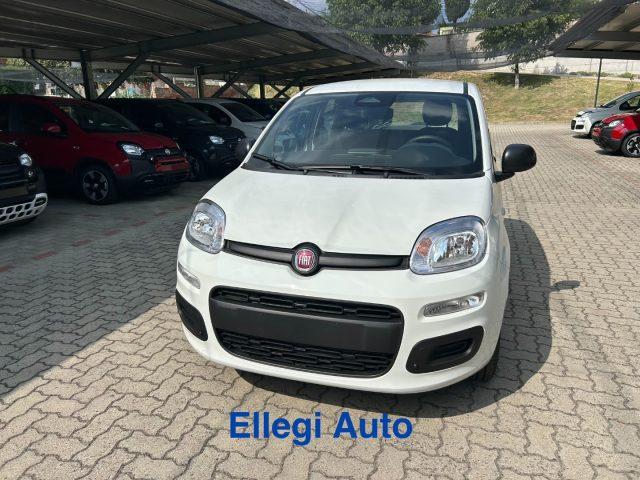 FIAT Panda PROMO FINANZ 1.0 HYBRID ICON KM 0