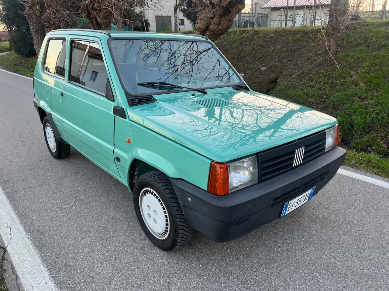 Fiat Panda 1100 i.e. cat Young