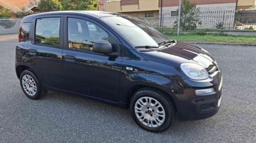 FIAT Panda 1.2 benzina UNICO PROPRIETARIO
