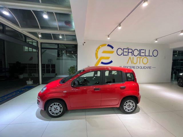 FIAT Panda 1.2 EasyPower gpl da ?119,00 mensili