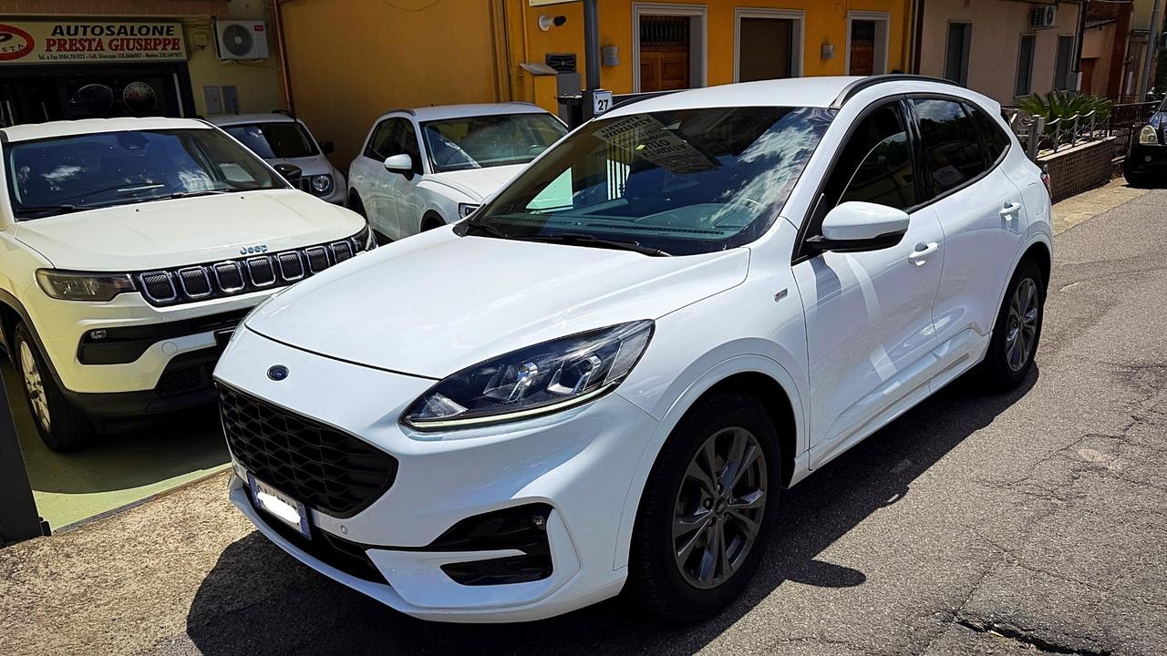 Ford Kuga 1.5 Tdci ST-Line Aut. - 2022