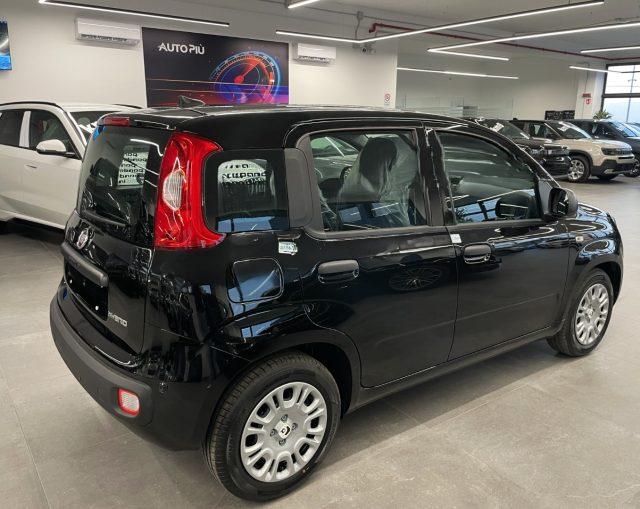 FIAT Pandina 1.0 Hybrid Icon KM0 MY26