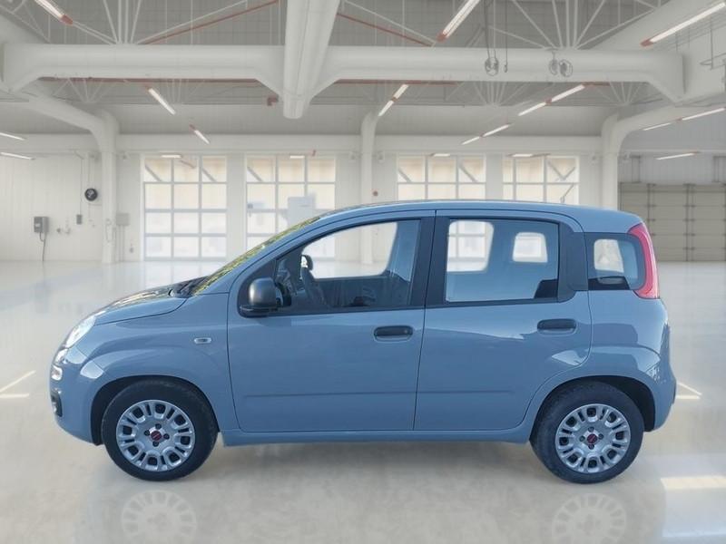 FIAT PANDA 1.0 FIREFLY 70 CV SES HYBRID 5 PORTE BERLINA