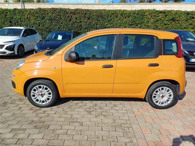 FIAT Panda 3ª serie 1.2 EasyPower Easy