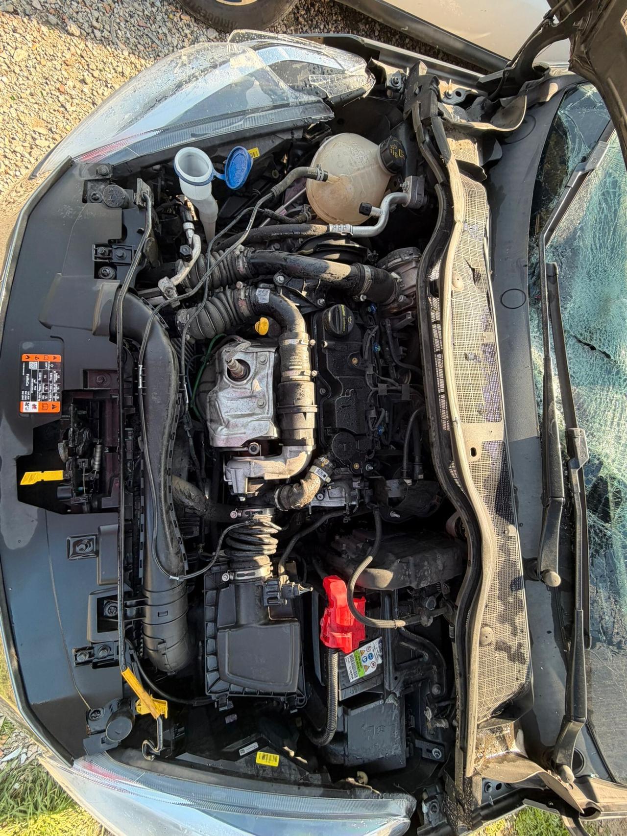 Ford Fiesta 1.5 EcoBlue 5 porte Vignale sinistrata