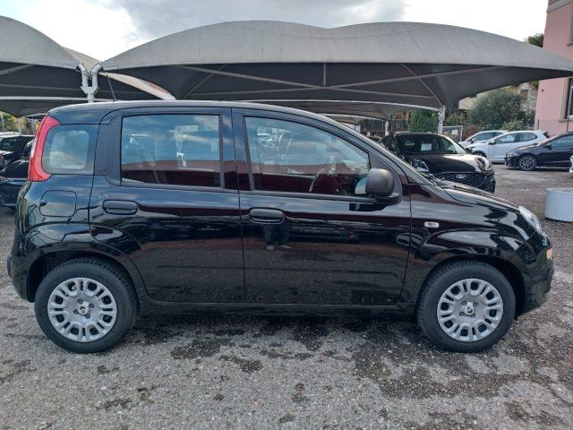 FIAT Panda 1.0 FireFly S&S Hybrid Icon