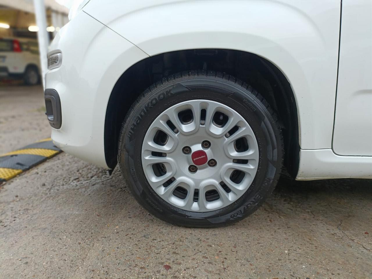 Fiat Panda 1.2 Easy DISTRIBUZIONE ESEGUITA