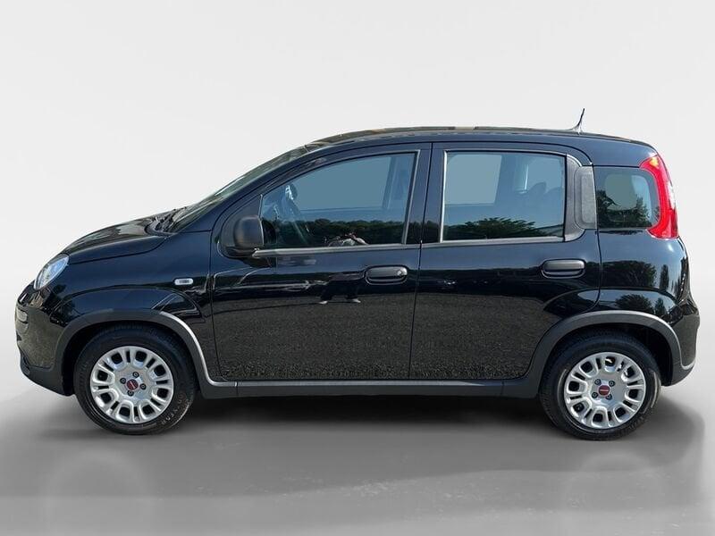 FIAT Panda Panda 1.0 FireFly S&S Hybrid City Life