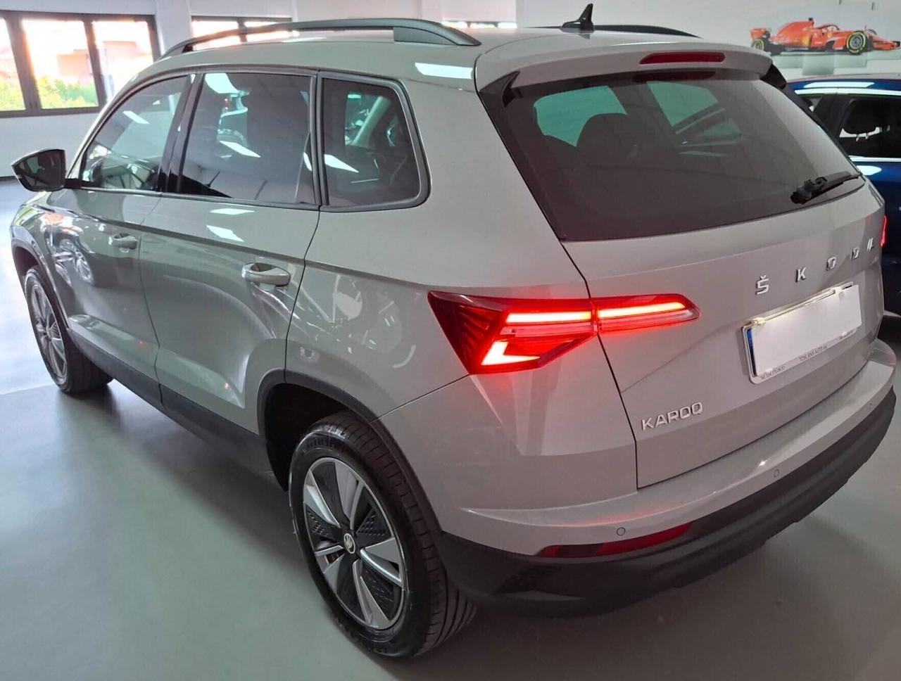 Skoda Karoq 2.0 TDI SCR 115 CV automatica