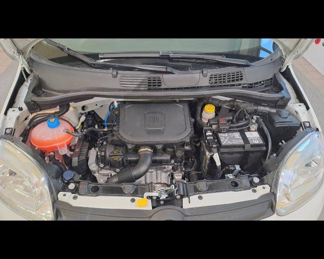 FIAT Panda 1.0 firefly hybrid Icon s&s 70cv 5p.ti