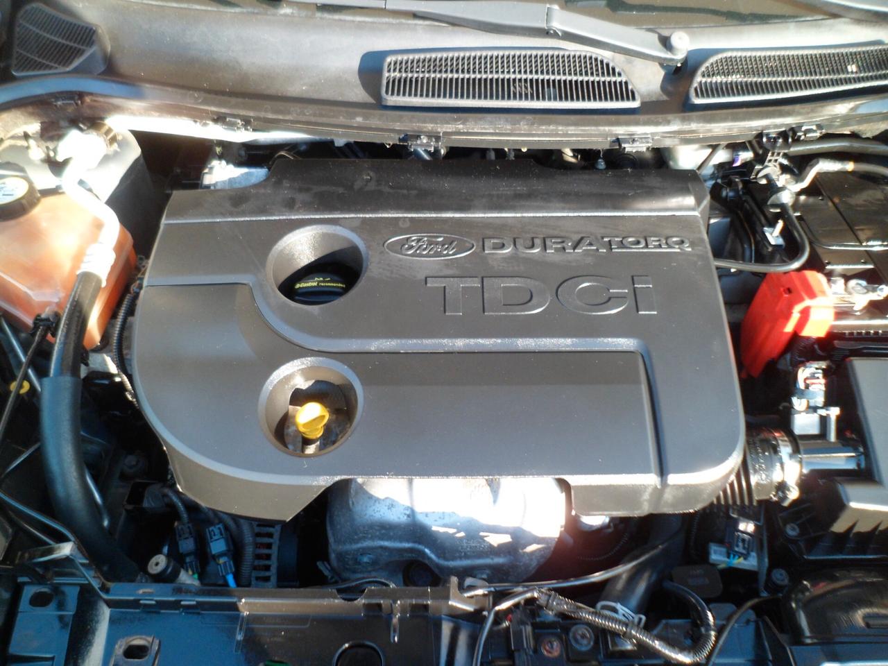 Ford Fiesta 1.4 TDCi 70CV 5 porte full 12