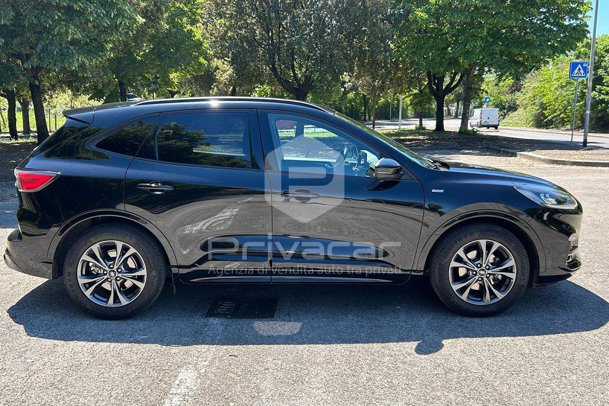 FORD Kuga 1.5 EcoBlue 120 CV aut. 2WD ST-Line